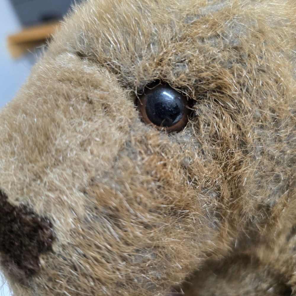 Vintage 1984‎ Animal Toy Teddy Bear Brown Plush Soft Stuffed Animal Kids - Picture 4 of 8
